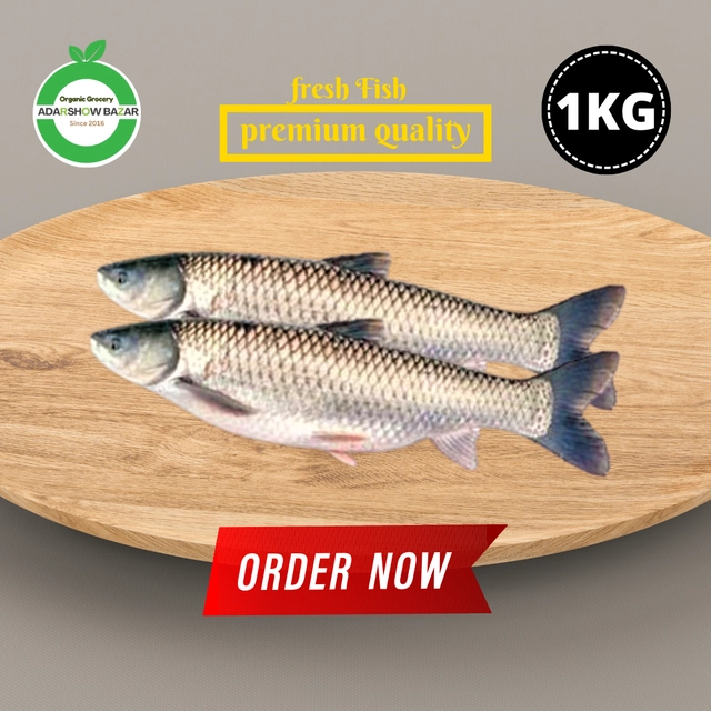 মৃগেল মাছ (Mrigel Fish) 1KG